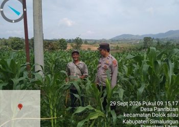 Bhabinkamtibmas Polsek Dolok Silau AIPTU Gordon Manik, S.H., bersama pemilik lahan, P. Tarigan, di Perladangan Juma Jahean