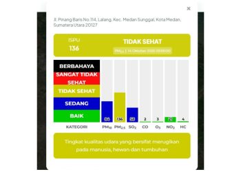 Kualitas udara di Medan - Kepala Dinas Lingkungan Hidup Kota Medan, Melvi Marlabayana. (Foto Ist)