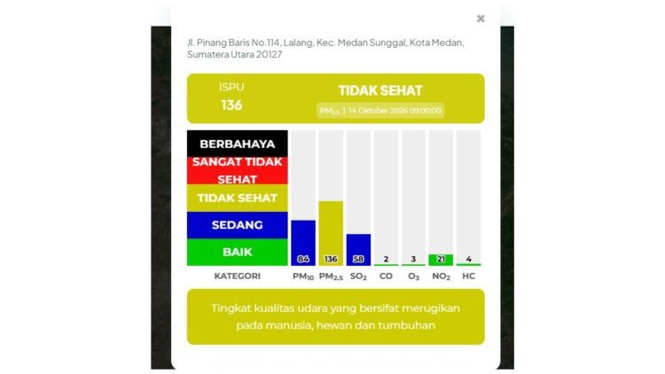 Kualitas udara di Medan - Kepala Dinas Lingkungan Hidup Kota Medan, Melvi Marlabayana. (Foto Ist)