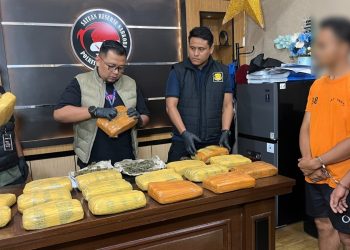 Dua pemuda menyembunyikan 18 Kg ganja kering di kandang ayam yang ditangkap polisi. (Foto Ist)