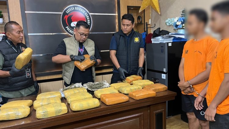 Dua pemuda menyembunyikan 18 Kg ganja kering di kandang ayam yang ditangkap polisi. (Foto Ist)