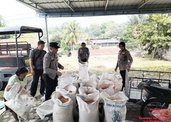 Kapolsek Siantar Selatan IPTU Suhaira Marbun SH bersama Personil panen jagung petani binaan di Jalan Tepian