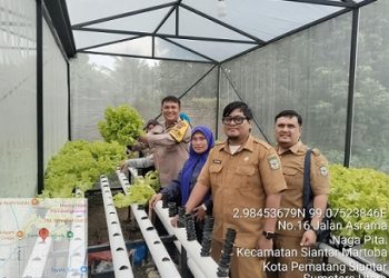 Bhabinkamtibmas Kelurahan Naga Pita Aipda A. Simatupang melaksanakan sambang kamtibmas di Lahan Kelompok Tani Kelurahan Naga Pita