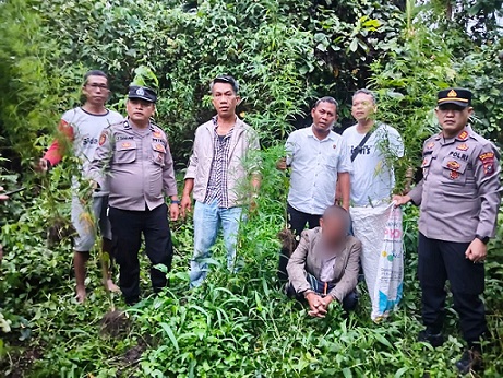 Pelaku DS dan barang diapit Kasat Resnarkoba AKP AKP Charles Nababan SH bersama Kapolsek Panei Tongah AKP. Daniel J. Damanik, S.H dan personil saat di TKP