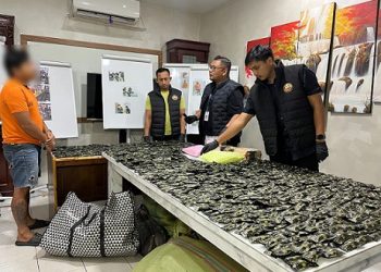 Sebuah gudang pengolahan pinang di kawasan Sei Mencirim, Kecamatan Sunggal, Kabupaten Deli Serdang, yang disulap jadi gudang narkoba, digerebek polisi. (Foto Ist)