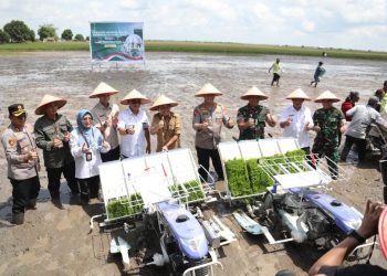 Kapolda Kalimantan Tengah Irjen Pol Iwan Kurniawan bersama Gubernur H. Agustiar Sabran dan Forkopimda Kalteng menanam padi di Desa Lempuyangan, Kecamatan Teluk Sampit, Kabupaten Kotawaringin Timur (Kotim), Rabu (23/4/2025).
