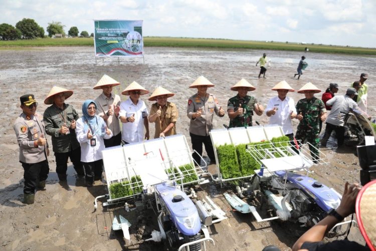 Kapolda Kalimantan Tengah Irjen Pol Iwan Kurniawan bersama Gubernur H. Agustiar Sabran dan Forkopimda Kalteng menanam padi di Desa Lempuyangan, Kecamatan Teluk Sampit, Kabupaten Kotawaringin Timur (Kotim), Rabu (23/4/2025).