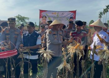 Kapolres Nagan Raya, AKBP Benny Bathara, S. i. k., M. i. k., bersama jajaran Polres Nagan Raya, hari ini melaksanakan kegiatan panen raya jagung serentak tahap I sebagai bagian dari upaya mendukung program ketahanan pangan nasional, Rabu, 23 April 2025.