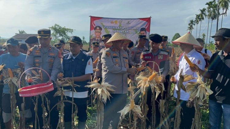 Kapolres Nagan Raya, AKBP Benny Bathara, S. i. k., M. i. k., bersama jajaran Polres Nagan Raya, hari ini melaksanakan kegiatan panen raya jagung serentak tahap I sebagai bagian dari upaya mendukung program ketahanan pangan nasional, Rabu, 23 April 2025.