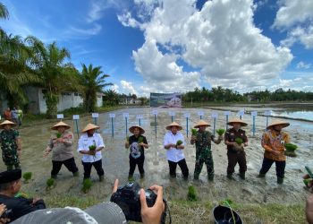 Kapolres Nagan Raya, AKBP Benny Bathara, S.i.k., M.i.k., menghadiri langsung kegiatan tanam padi serentak yang digelar di areal persawahan Desa Pulo ie, Kecamatan Kuala, Kabupaten Nagan Raya, Rabu, 23 April 2025.
