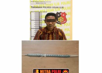 Pelaku berinisial TS (28), warga Desa Talang Taling, Kecamatan Gelumbang, Kabupaten Muara Enim, ditangkap pada Selasa dini hari, 6 Mei 2025, sekitar pukul 00.05 WIB di kediamannya tanpa perlawanan