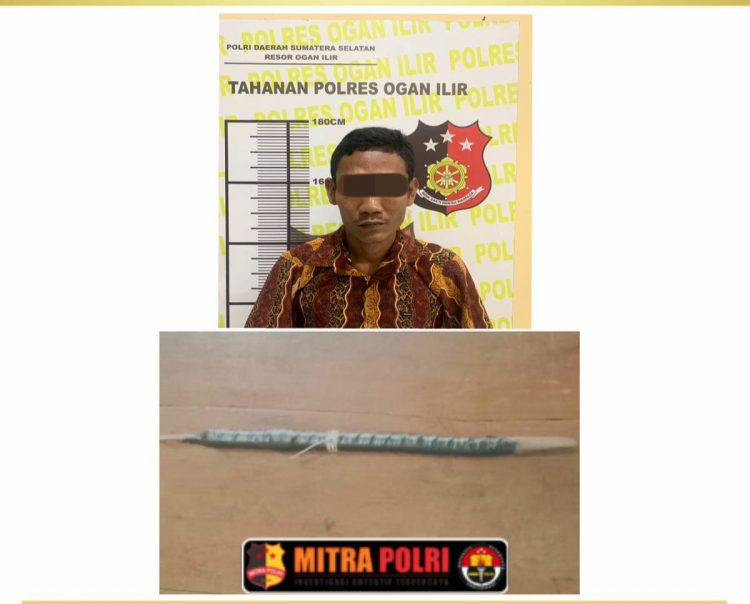 Pelaku berinisial TS (28), warga Desa Talang Taling, Kecamatan Gelumbang, Kabupaten Muara Enim, ditangkap pada Selasa dini hari, 6 Mei 2025, sekitar pukul 00.05 WIB di kediamannya tanpa perlawanan