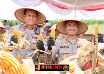 Acara panen raya dipimpin langsung oleh Kapolres Ogan Ilir AKBP Bagus Suryo Wibowo, S.IK, dan turut dihadiri oleh Waka Polres Kompol Helmi Ardiansyah, SH. MH, Kadin Pertanian Ogan Ilir Dedi Gustiawan, SH. MM, para pejabat utama Polres Ogan Ilir, Danramil Indralaya, Camat Indralaya, Lurah Indralaya Indah, serta kelompok tani dan masyarakat setempat.