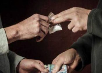 Ilustrasi Foto