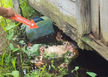 Jajaran Polresta Palangka Raya melalui SPKT bersama Tim Inafis dan piket fungsi bergerak cepat merespons laporan masyarakat terkait temuan sesosok mayat di sebuah rumah di Jl. Tjilik Riwut Km 11 / Jl. Raflesia, Kelurahan Petuk Katimpun, Kecamatan Jekan Raya, Jumat pagi (30/5/2025).