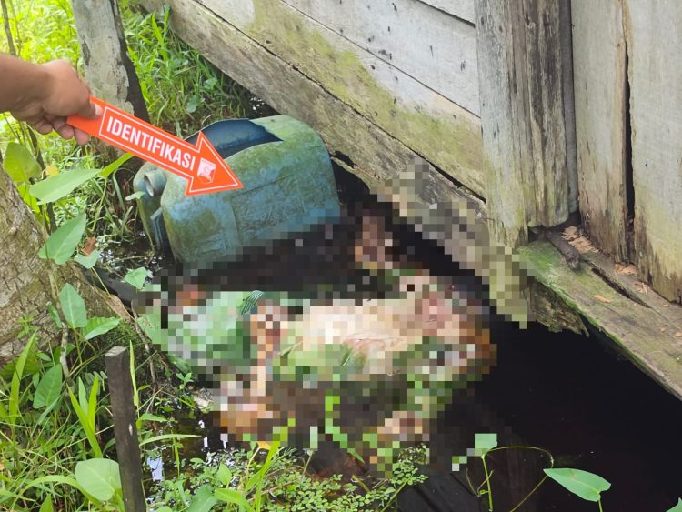 Jajaran Polresta Palangka Raya melalui SPKT bersama Tim Inafis dan piket fungsi bergerak cepat merespons laporan masyarakat terkait temuan sesosok mayat di sebuah rumah di Jl. Tjilik Riwut Km 11 / Jl. Raflesia, Kelurahan Petuk Katimpun, Kecamatan Jekan Raya, Jumat pagi (30/5/2025).