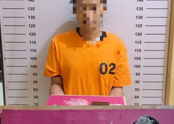 Timsus Polres Labuhanbatu berhasil mengamankan seorang perempuan berinisial N (23) atas dugaan kepemilikan narkotika jenis sabu. Pelaku ditangkap disekitar tempat tinggalnya di sebuah pondok belakang rumah warga di Simpang Sadani, Desa Sei Tampang, Kecamatan Bilah Hilir, Kabupaten Labuhanbatu, Senin (02/06/2025), sekitar pukul 22.30 Wib.