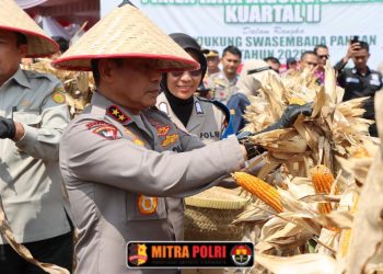 Kepala Kepolisian Daerah Sumatera Selatan (Kapolda Sumsel) Irjen Pol. Andi Rian R. Djajadi, S.I.K., M.H., memimpin langsung kegiatan Panen Raya Jagung Serentak Kuartal II Tahun 2025, Kamis (5/6/25), di lahan milik personel Polres Ogan Ilir Aipda Iwan Haryanto, yang terletak di belakang Kompleks Serai, Kelurahan Indralaya Indah, Kecamatan Indralaya, Kabupaten Ogan Ilir.