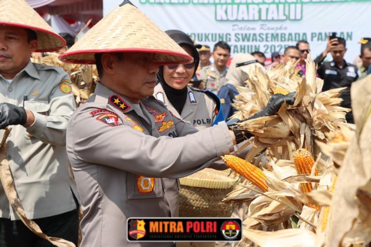 Kepala Kepolisian Daerah Sumatera Selatan (Kapolda Sumsel) Irjen Pol. Andi Rian R. Djajadi, S.I.K., M.H., memimpin langsung kegiatan Panen Raya Jagung Serentak Kuartal II Tahun 2025, Kamis (5/6/25), di lahan milik personel Polres Ogan Ilir Aipda Iwan Haryanto, yang terletak di belakang Kompleks Serai, Kelurahan Indralaya Indah, Kecamatan Indralaya, Kabupaten Ogan Ilir.