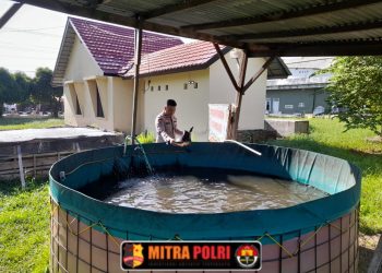 Polsek Indralaya melaksanakan kegiatan monitoring dan pengecekan kolam ikan yang berada di pekarangan Mapolsek Indralaya, pada Minggu (8/6/2025) sekitar pukul 08.50 WIB.
