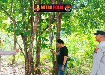 Patroli dilakukan oleh personel Polsek Tanjung Batu yang terdiri dari Aipda Muslim, Bripka Dwi Ariyon, dan Briptu Bambang. Hasil patroli menunjukkan tidak ditemukan titik api maupun kejadian karhutla di lokasi yang dipantau.