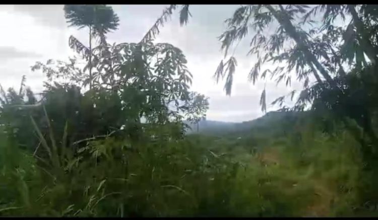 Lokasi Tanah Yang Hilang Seluas 46 Hektare dan 2,4 Hektare Milik Warga Hilang Tanpa Kepastian Hukum Jelas.(Foto: Dok.RH/Mitrapolri.Com)