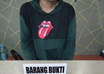 Pelaku diketahui berinisial AWS, warga Jalan H. Adam Malik, Gang Amal, Kelurahan Padang Bulan, Kecamatan Rantau Utara, Kabupaten Labuhanbatu. Ia diamankan pada Sabtu malam, (14/06/2025), di Jalan SM Raja, Kelurahan Ujung Bandar, Kecamatan Rantau Selatan.