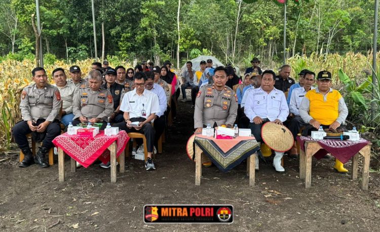 Polsek Tanjung Batu bersama unsur Forkopimcam dan perangkat desa menghadiri kegiatan Panen Raya Jagung Pipil yang berlangsung di Desa Lubuk Bandung, Kecamatan Payaraman, Kabupaten Ogan Ilir. Kegiatan ini merupakan bagian dari program “Satu Hektar Satu Desa” yang didanai melalui Dana Desa untuk memperkuat produktivitas dan kemandirian pangan masyarakat.
