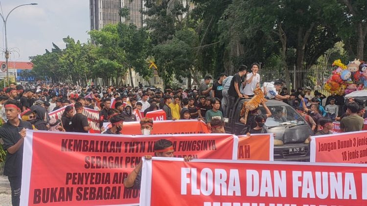 Tampak ribuan masyarakat dan mahasiswa juga ikut melakukan aksi unjuk rasa bersama LMB Nusantara. Mereka menyuarakan pentingnya mengembalikan fungsi hutan TNTN yang diramba para cukong-cukong. Senin (30/6/2025) di gerbang Kantor Gubernur Riau.