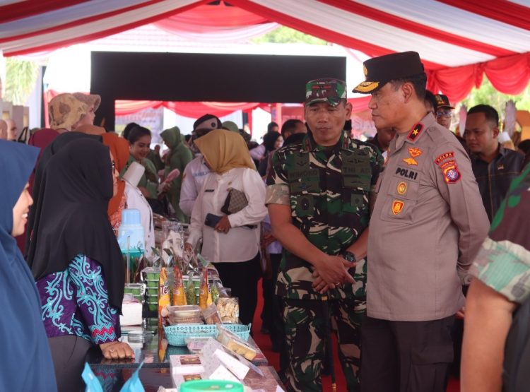 Wakil Kepala Kepolisian Daerah Kalimantan Tengah (Wakapolda Kalteng), Brigjen Pol Dr. Rakhmad Setyadi, mewakili Kapolda Irjen Pol Iwan Kurniawan, menghadiri penutupan program TNI Manunggal Membangun Desa (TMMD) ke-124 Tahun 2025 di Kabupaten Barito Selatan (Barsel).