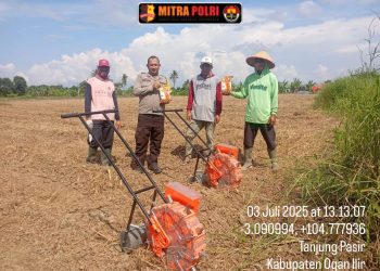 Polsek Pemulutan bersama pemerintah desa dan kelompok tani melaksanakan kegiatan penanaman jagung pipil di Desa Tanjung Pasir, Kecamatan Pemulutan, Kabupaten Ogan Ilir, pada Kamis (03/07/2025) sekitar pukul 13.00 WIB.