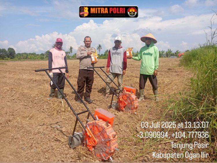 Polsek Pemulutan bersama pemerintah desa dan kelompok tani melaksanakan kegiatan penanaman jagung pipil di Desa Tanjung Pasir, Kecamatan Pemulutan, Kabupaten Ogan Ilir, pada Kamis (03/07/2025) sekitar pukul 13.00 WIB.