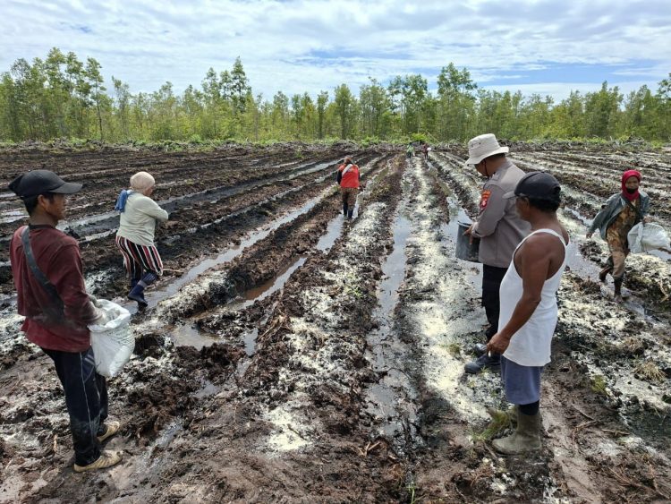 Kapolsek Rakumpit Iptu Joko Susilo, bersama Bhabinkamtibmas Aipda Eko Pramono terjun langsung ke lahan pertanian kelompok tani Elea Farm di Kelurahan Pager. Minggu 6/7/2025.