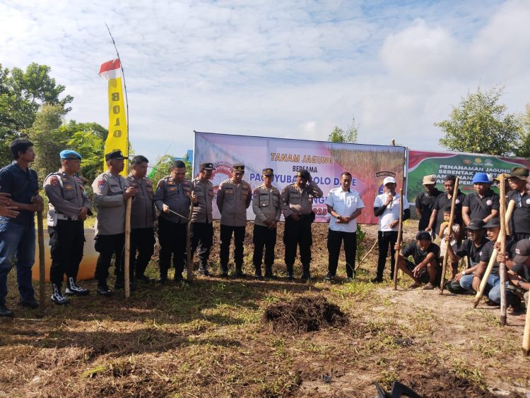 Polsek Pahandut Polresta Palangka Raya melaksanakan kegiatan monitoring penanaman jagung serentak kuartal III di Jalan Merdeka Utara, RT 5 RW 14, Kelurahan Bukit Tunggal, Kecamatan Jekan Raya, Rabu (9/7/2025).