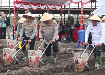 Kegiatan penanaman tersebut, dipimpin oleh Direktur Lalu Lintas Kombes Pol R.S. Handoyo, didampingi Kabidkum Kombes Pol Rony dan sejumlah pejabat utama Polda serta turut diikuti Kapolresta Palangka Raya, dan Forkopimda Kota Palangka Raya.