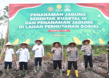 Penanaman jagung pada lahan seluas 7 (tujuh) hektare yang berada di wilayah Kelurahan Pager, Kecamatan Rakumpit, Kota Palangka Raya, Kalimantan Tengah, Rabu (9/7/2025) siang.