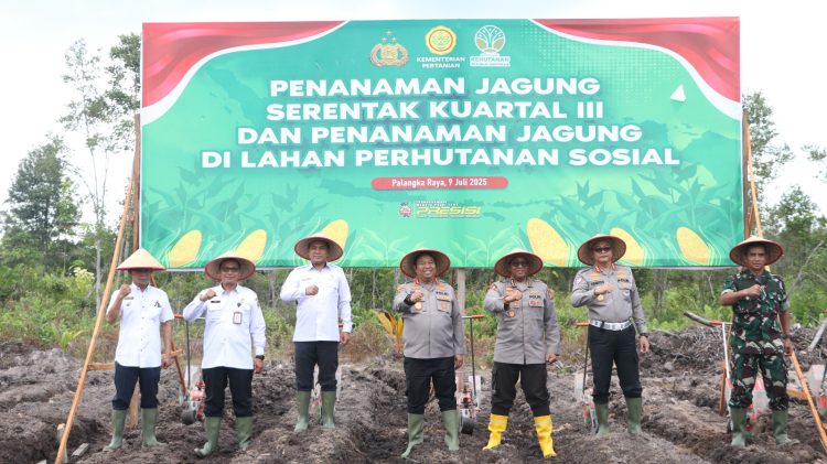 Penanaman jagung pada lahan seluas 7 (tujuh) hektare yang berada di wilayah Kelurahan Pager, Kecamatan Rakumpit, Kota Palangka Raya, Kalimantan Tengah, Rabu (9/7/2025) siang.