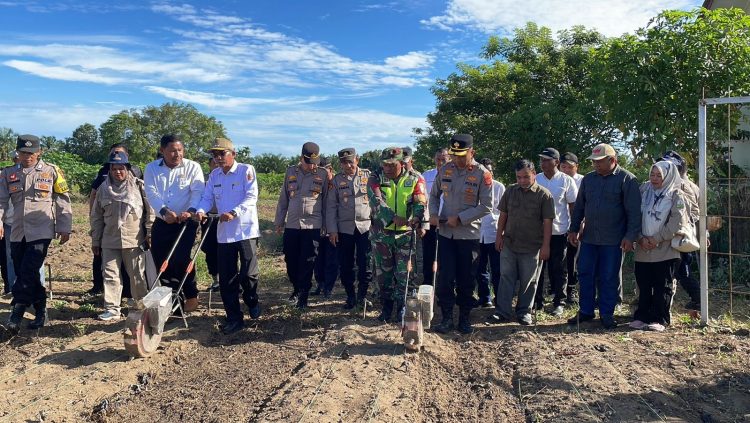 Bertempat di kebun jagung Padang Turi Desa Padang Panjang Kecamatan Kuala Pesisir Kabupaten Nagan Raya, acara ini diikuti oleh Wakapolres Nagan Raya Kompol Humaniora Sembiring, S.Kom., S.I.K., bersama sejumlah pejabat utama Polres, serta perwakilan dari Dinas Pertanian Kabupaten Nagan Raya.