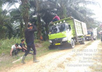 Sebidang kebun sawit seluas 600 hektare di Kecamatan Pasir Penyu, Kabupaten Indragiri Hulu (Inhu), yang masih berstatus lahan sitaan Satgas Penanganan Konflik dan Hukum (PKH), kini diduga telah dikuasai oleh pihak ketiga secara ilegal.