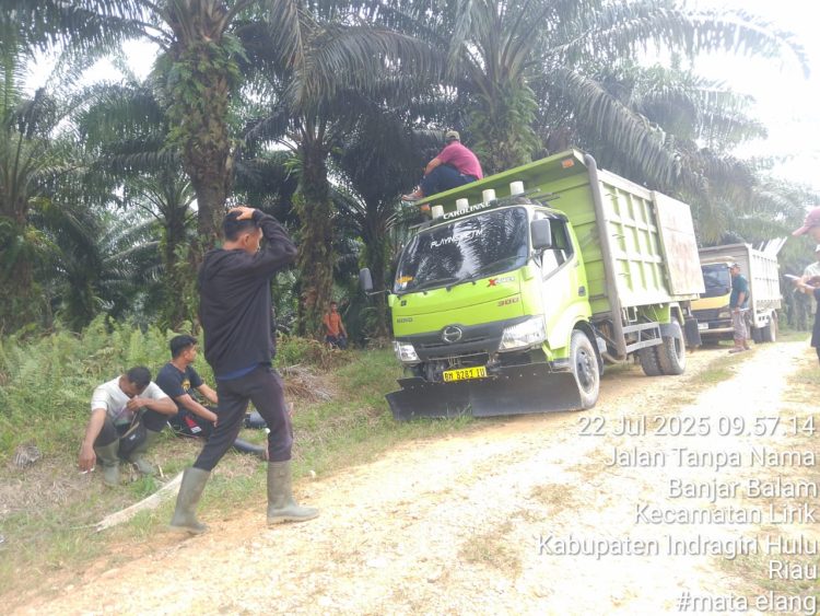 Sebidang kebun sawit seluas 600 hektare di Kecamatan Pasir Penyu, Kabupaten Indragiri Hulu (Inhu), yang masih berstatus lahan sitaan Satgas Penanganan Konflik dan Hukum (PKH), kini diduga telah dikuasai oleh pihak ketiga secara ilegal.