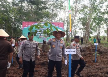 Kepala Kepolisian Daerah Kalimantan Tengah Irjen Pol Iwan Kurniawan melakukan penanaman jagung kuartal III di lahan perhutanan sosial, Desa Kalawa, Kecamatan Kahayan Hilir, Kabupaten Pulang Pisau, Rabu (9/7/2025).
