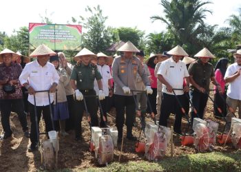 Kapolres Aceh Barat, AKBP Yhogi Hadisetiawan, S.I.K., M.I.K., memimpin langsung kegiatan Penanaman Jagung Serentak Kwartal III Tahun 2025 di lahan perhutanan sosial Gampong Meutulang, Kecamatan Panton Reu, Rabu (9/7/2025).