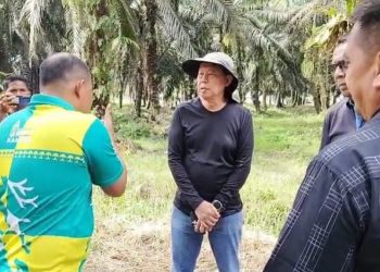 Suwito, manajer lama PT Ayau menyampaikan klaim bahwa mereka masih memiliki lahan seluas 100 hektare di luar kawasan yang disegel oleh Satgas Penanganan Konflik Horizontal (PKH). Mereka bersikeras bahwa lahan yang mereka maksud berstatus APL (Areal Penggunaan Lain) dan meminta agar lahan tersebut tidak disentuh oleh kelompok tani.