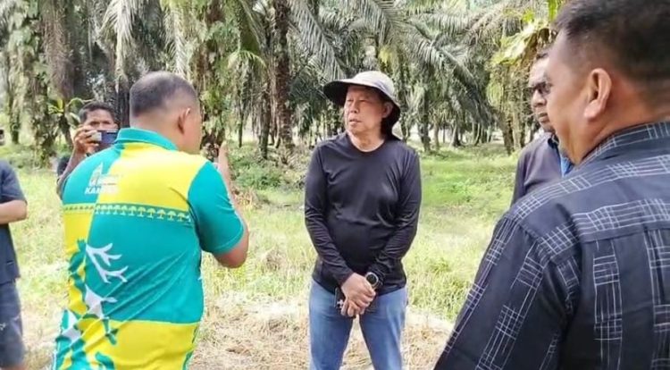 Suwito, manajer lama PT Ayau menyampaikan klaim bahwa mereka masih memiliki lahan seluas 100 hektare di luar kawasan yang disegel oleh Satgas Penanganan Konflik Horizontal (PKH). Mereka bersikeras bahwa lahan yang mereka maksud berstatus APL (Areal Penggunaan Lain) dan meminta agar lahan tersebut tidak disentuh oleh kelompok tani.
