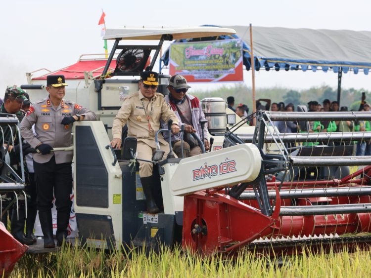 Kapolda Kalimantan Tengah (Kalteng), Irjen Pol Iwan Kurniawan bersama Gubernur H. Agustiar Sabran dan Forkopimda Kalteng melaksanakan panen raya padi, di Desa Warnasari, Kec. Tamban Catur, Kabupaten Kapuas, Sabtu (9/8/2025).