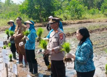 Kehadiran Polresta diwakili oleh Kepala Satuan Pembinaan Masyarakat (Kasatbinmas), AKP Dig Supriyo pada lokasi kegiatan yakni kebun contoh yang berada di Kantor DPKP Kota, Jalan Ir. Soekarno, Kota Palangka Raya, Kalimantan Tengah, Senin (11/8/2025) pagi.