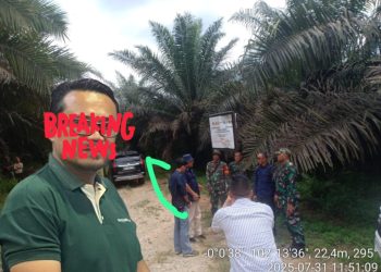 Fedrik Sinurat (ADM) PT Sari Lembah Subur (Astra Agro Lestari)