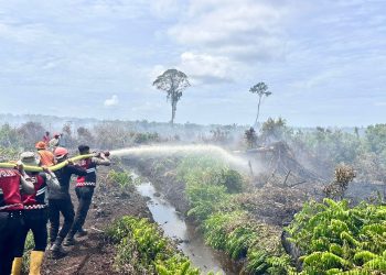 Sebanyak 18 personel Sat Samapta Polres Nagan Raya, 9 personel Brimob Kompi C, 10 personel Posramil Kuala Pesisir, serta 25 personel BPBD Nagan Raya dikerahkan untuk melakukan pemadaman. Dalam upaya tersebut, tim gabungan menggunakan 2 pompa air milik BPBD, 1 pompa Polres Nagan Raya, 4 pompa desa, serta 1 pompa milik PT Fajar Baizuri.