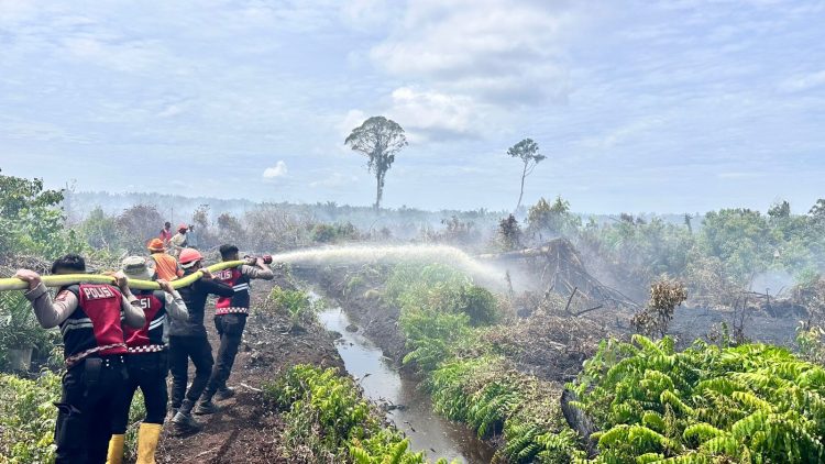 Sebanyak 18 personel Sat Samapta Polres Nagan Raya, 9 personel Brimob Kompi C, 10 personel Posramil Kuala Pesisir, serta 25 personel BPBD Nagan Raya dikerahkan untuk melakukan pemadaman. Dalam upaya tersebut, tim gabungan menggunakan 2 pompa air milik BPBD, 1 pompa Polres Nagan Raya, 4 pompa desa, serta 1 pompa milik PT Fajar Baizuri.