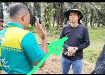 Suwito, manajer lama PT Ayau menyampaikan klaim bahwa mereka masih memiliki lahan seluas 100 hektare di luar kawasan yang disegel oleh Satgas Penanganan Konflik Horizontal (PKH). Mereka bersikeras bahwa lahan yang mereka maksud berstatus APL (Areal Penggunaan Lain) dan meminta agar lahan tersebut tidak disentuh oleh kelompok tani.